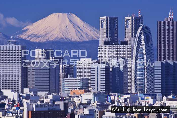 ポスト型ハガキ 東京都 ビル等のハガキ 27枚 ハガキ/ポストカード｜紙シリーズ｜ポストカード 落ち葉柄