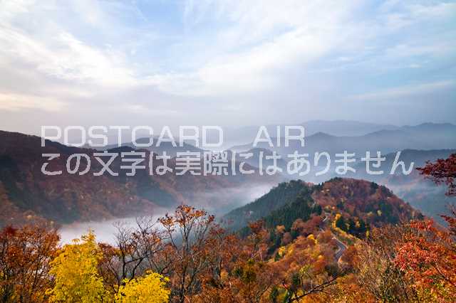 楽天市場 滋賀県 高島市 おにゅう峠の雲海と紅葉のポストカード葉書はがき Photo By絶景 Com ポストカードair