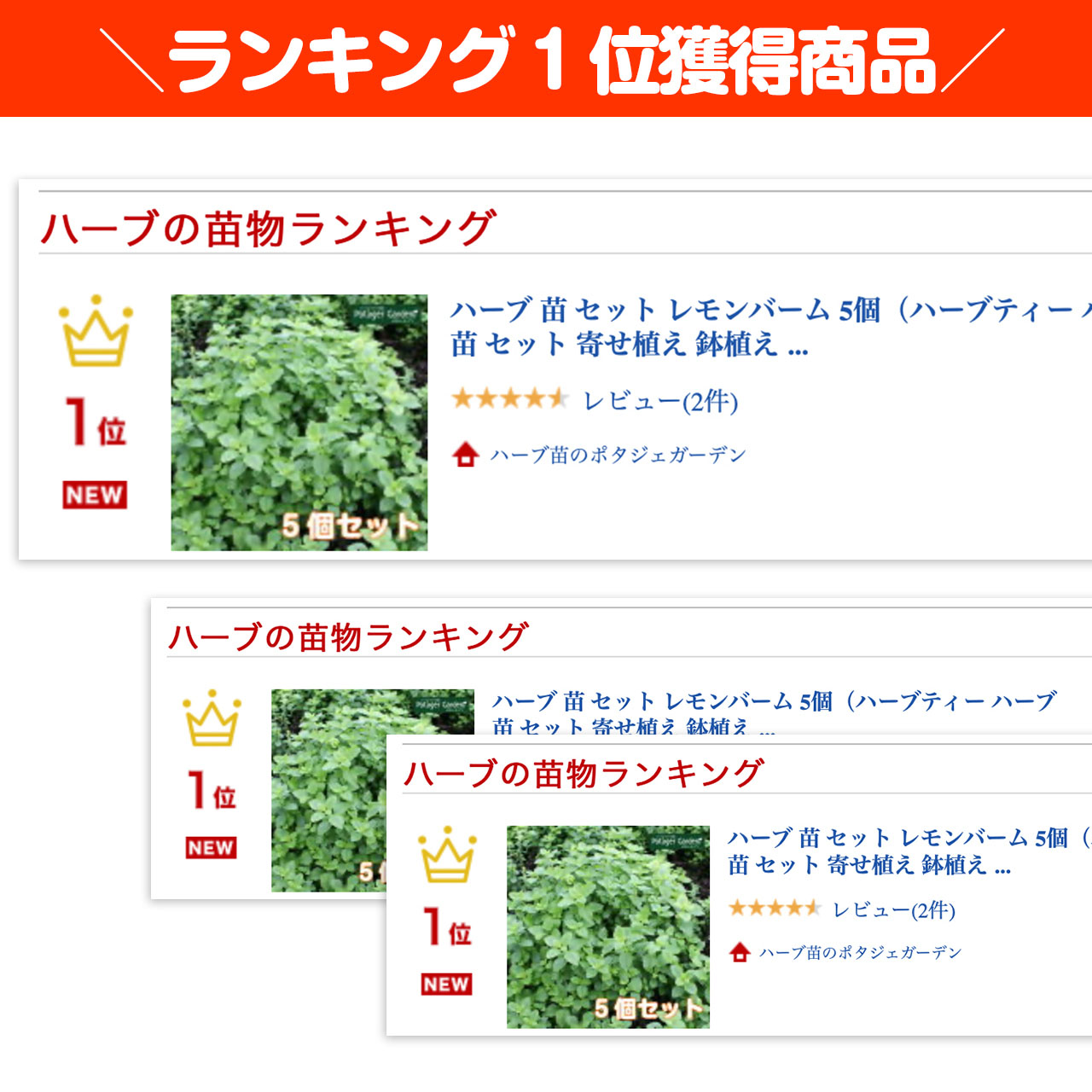 楽天市場 本日p2倍 ハーブ 苗 セット レモンバーム 5個 ハーブティー ハーブ 苗 セット 寄せ植え 鉢植え 栽培キット 種 野菜 ミント ラベンダー ローズマリー 花 東京 時期 卸 春 夏 秋 冬 種類 詰め合わせ Herb Lemonbalm バーム5個 ハーブ苗のポタジェガーデン 楽天市場 本日p2倍 ハーブ 苗 セット レモンバーム 5個 ハーブティー ハーブ 苗 セット 寄せ植え 鉢植え 栽培キット 種 野菜 ミント ラベンダー ローズマリー 花 東京 時期 卸 春 夏 秋 冬 種類 詰め合わせ Herb Lemonbalm バーム5個 ハーブ苗のポタジェガーデン