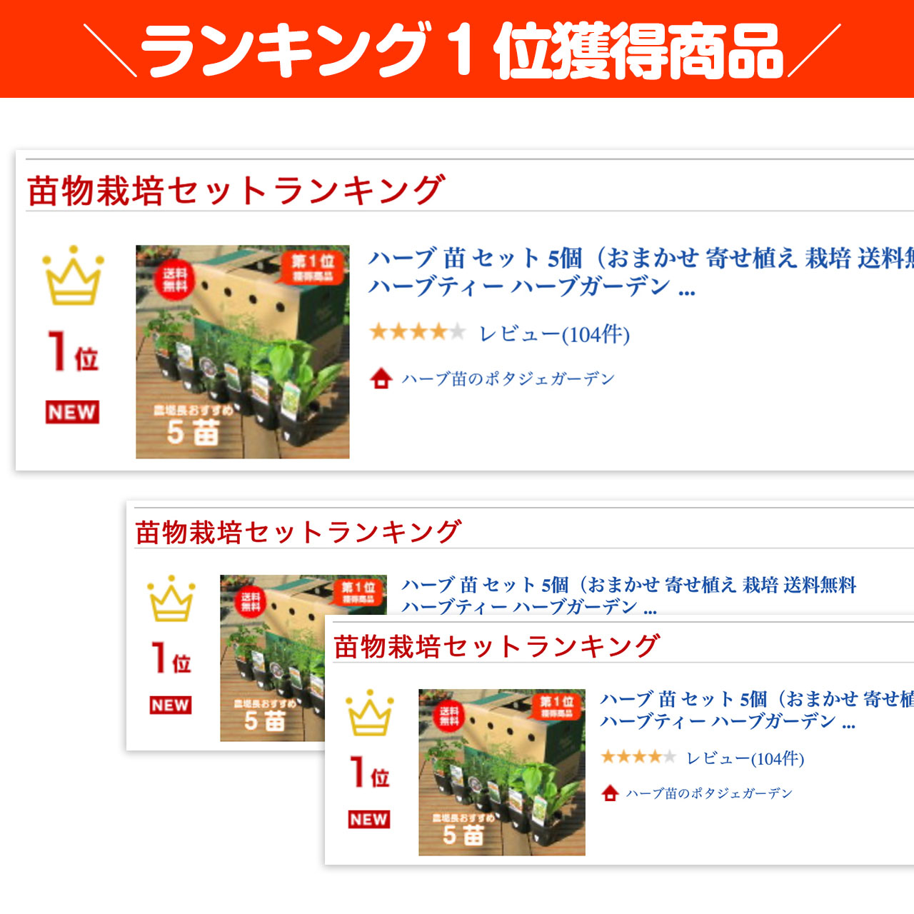 楽天市場 P最大43倍 秋植えにぴったり選べる ハーブ 苗 セット 5個 お試し 花苗 苗木 おまかせ 寄せ植え 家庭菜園 栽培 ガーデニング 送料無料 ハーブティー ハーブガーデン 観葉植物 カモミール ローズマリー ミント 買いまわり 買い回り ポイント消化 ハーブ苗専門