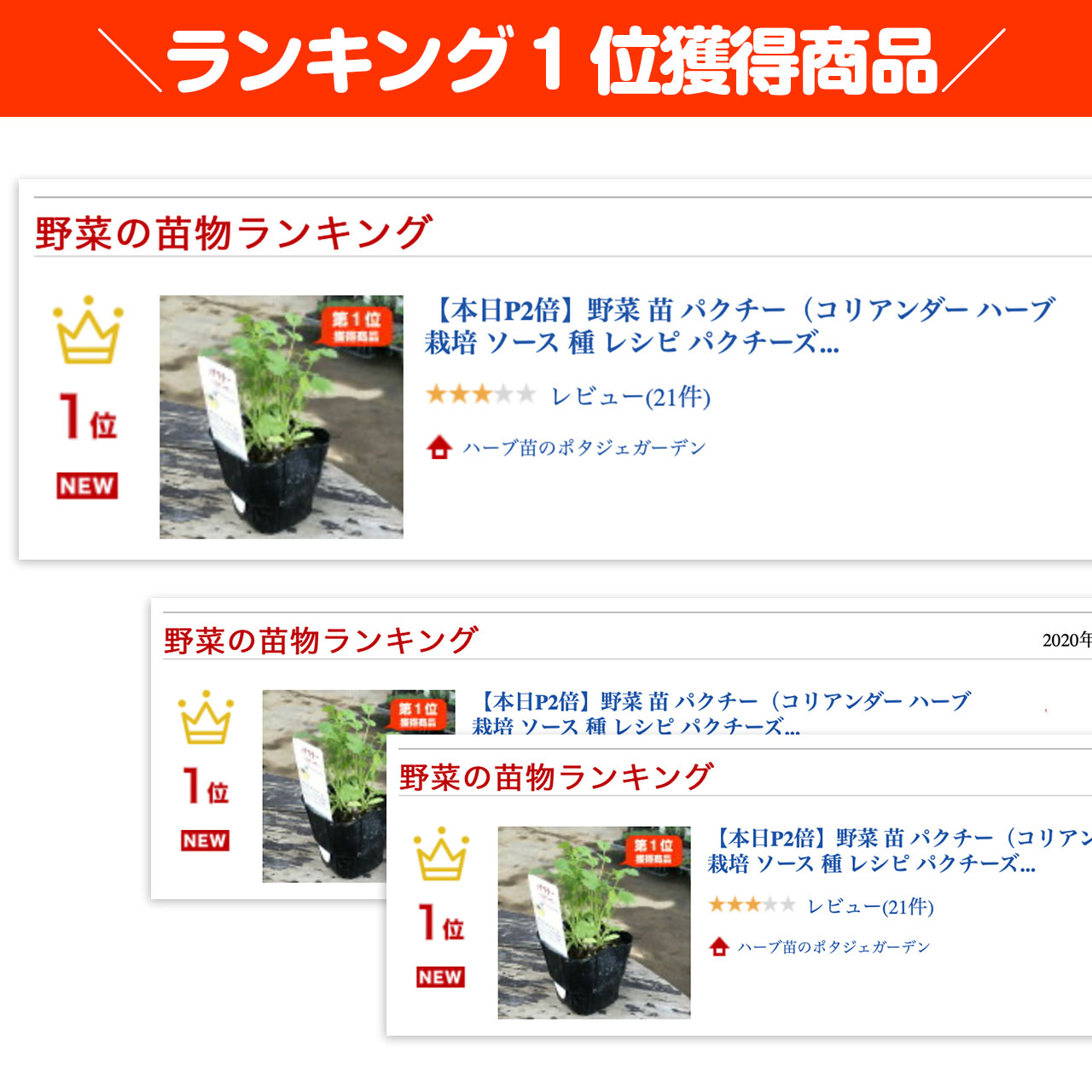 楽天市場 Tv紹介商品 野菜 苗 パクチー コリアンダー ハーブ 栽培 ソース 種 レシピ パクチーズ パクチー醤油 パクチーソース パクチードレッシング パクチーラーメン パクチースープ パクチーサラダ 栄養 レシピ 保存 パクチー鍋 パウダー シード スパイス カレー