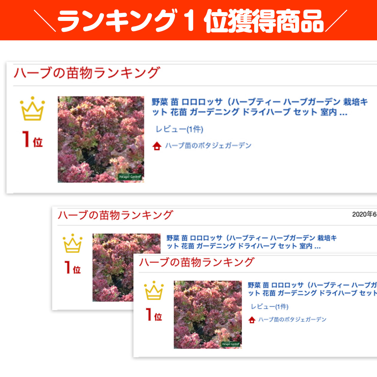 楽天市場 本日p2倍 野菜 苗 ロロロッサ ハーブティー ハーブガーデン 栽培キット 花苗 ガーデニング ドライハーブ セット 室内 プランター 寄せ植え ティーバッグ ハーブウォーター 乾燥 料理 プランター 家庭菜園 キット ハーブ苗のポタジェガーデン