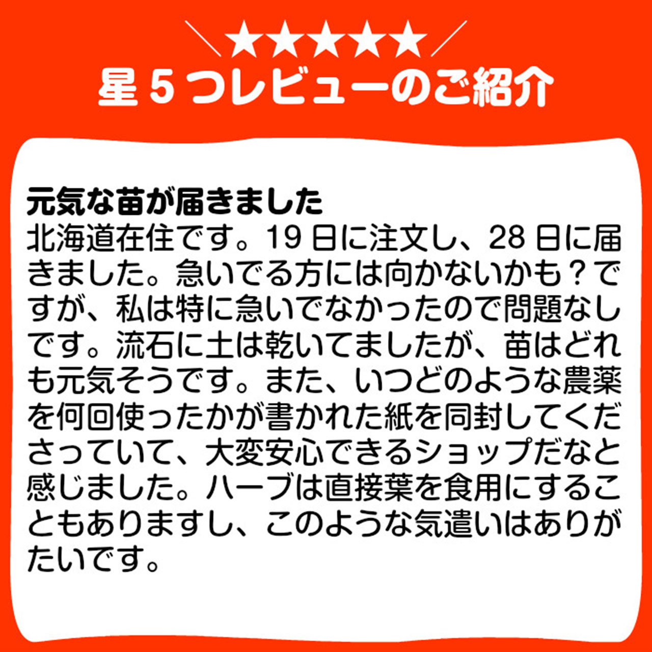楽天市場 ハーブ 苗 フォックスリータイム グランドカバー ハーブ苗 栽培キット 効能 スーパー 種類 料理 育て方 使い方 選び方 ラベンダー クリーピングタイム 寄せ植え ハーブティ レシピ 鉢植え バジル ローズマリー ミント 花苗 野菜 水耕栽培 フォクスリー 楽天市場 ハーブ 苗 フォックスリータイム グランドカバー ハーブ苗 栽培キット 効能 スーパー 種類 料理 育て方 使い方 選び方 ラベンダー クリーピングタイム 寄せ植え ハーブティ レシピ 鉢植え バジル ローズマリー ミント 花苗 野菜 水耕栽培 フォクスリー
