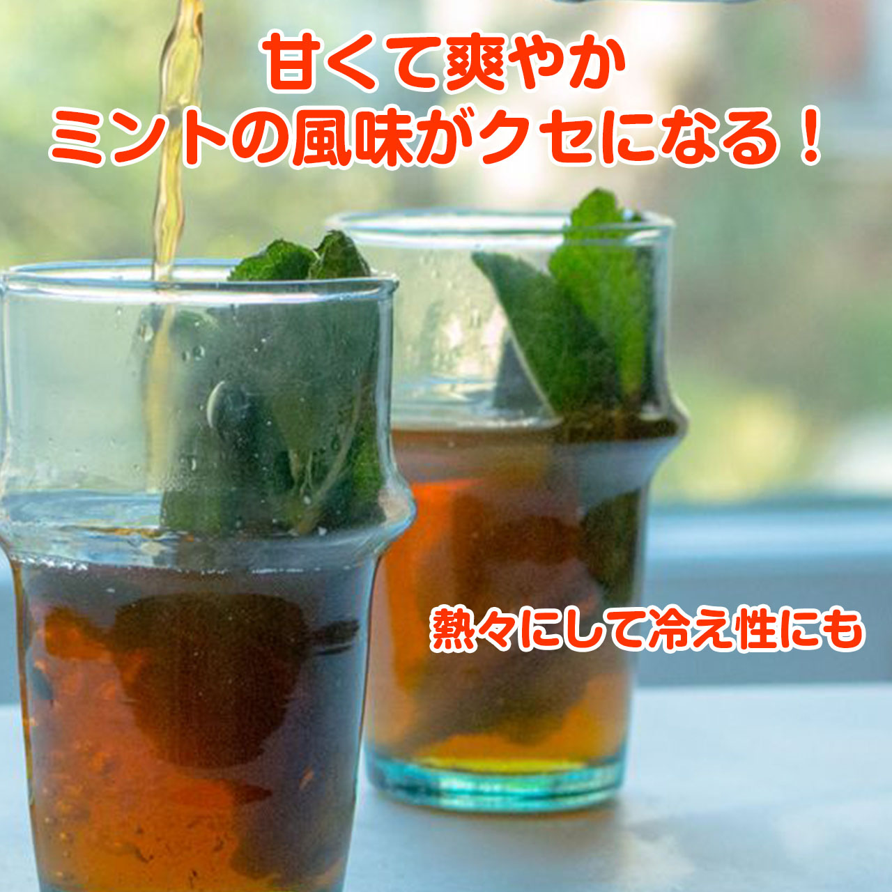 楽天市場 ハーブ 苗 モロッコミント ミントティ ハッカ油 グリーン 鉢植え 栽培方法 育て方 使い方 選び方 種類 花苗 プランター セット 栽培キット ミントグリーン ドライハーブ ラベンダー バジル 寄せ植え 野菜 種 アッツァイ 冷え性 対策 モロッコm ハーブ苗の 楽天市場 ハーブ 苗 モロッコミント ミントティ ハッカ油 グリーン 鉢植え 栽培方法 育て方 使い方 選び方 種類 花苗 プランター セット 栽培キット ミントグリーン ドライハーブ ラベンダー バジル 寄せ植え 野菜 種 アッツァイ 冷え性 対策 モロッコm ハーブ苗の