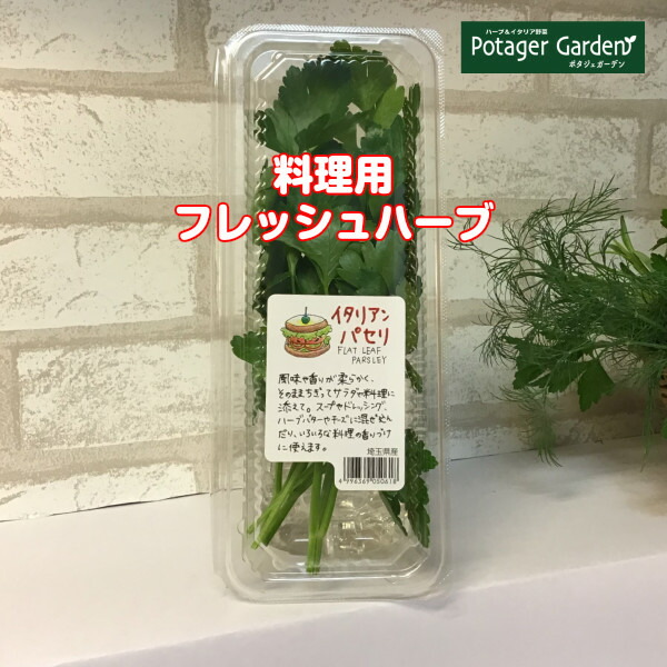 楽天市場 フレッシュハーブ イタリアンパセリ1パック レシピ付 ハーブ ハーブティー ミックス 野菜 サラダ 生 業務用 使い方 ギフト スパイス Herb Tea ハーブ苗のポタジェガーデン