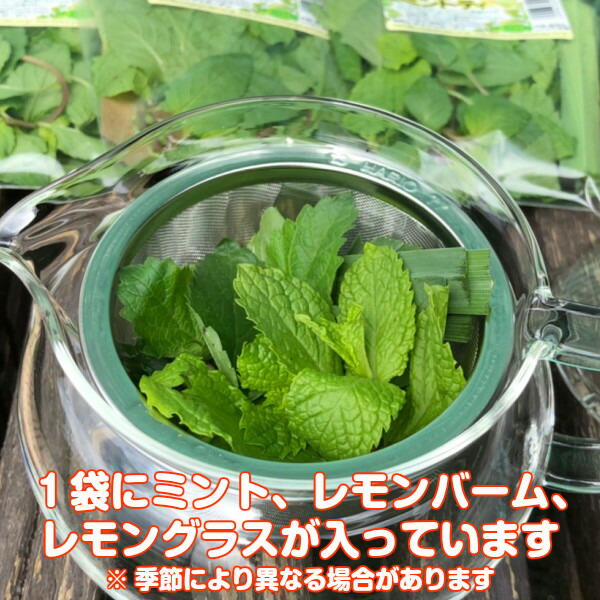 ハーブ 食用 レシピ付 生 フレッシュハーブ 3パックセット レモンティー ハーブティー
