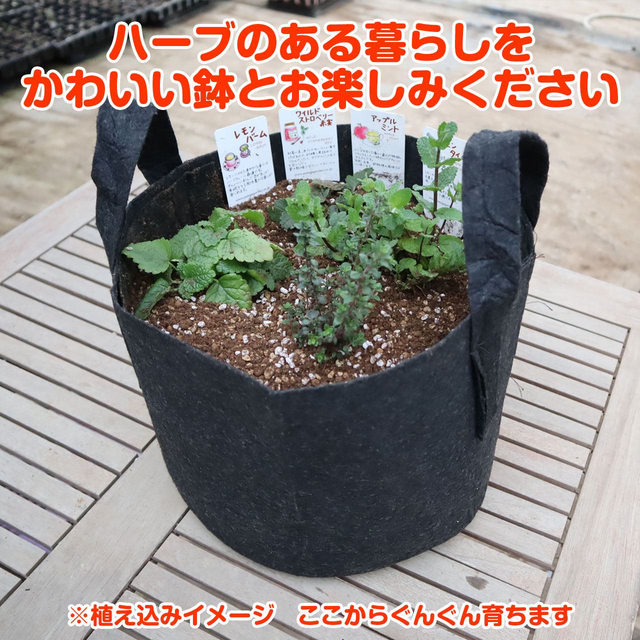 2個悪漢ジャンクションブロック電力地位断交端子スタッド10mm 3 8インチ