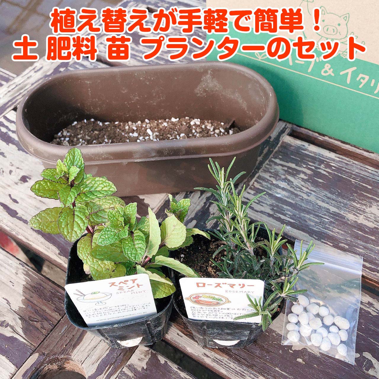 楽天市場 ハーブ 栽培キット 苗 セット プラ製プランター かわいい 寄せ植え ハーブティー ハーブガーデン 観葉植物 送料無料 バジル ローズマリー ミント 花苗 苗木 家庭菜園 キット 巣ごもり 鉢植え 土 受け皿なし プラ製 茶 苗2個 ハーブ苗のポタジェガーデン