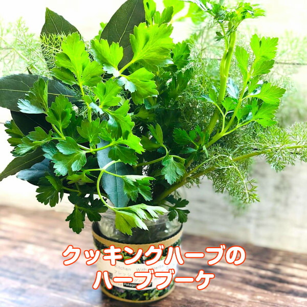 楽天市場 本日p2倍 ハーブ ブーケ ハーブティー ハーブ料理 誕生日 プレゼント ホームパーティ ご褒美 おしゃれ ミニブーケ 産地直送 オリジナル 手摘み ポタジェガーデン ハーブ苗のポタジェガーデン