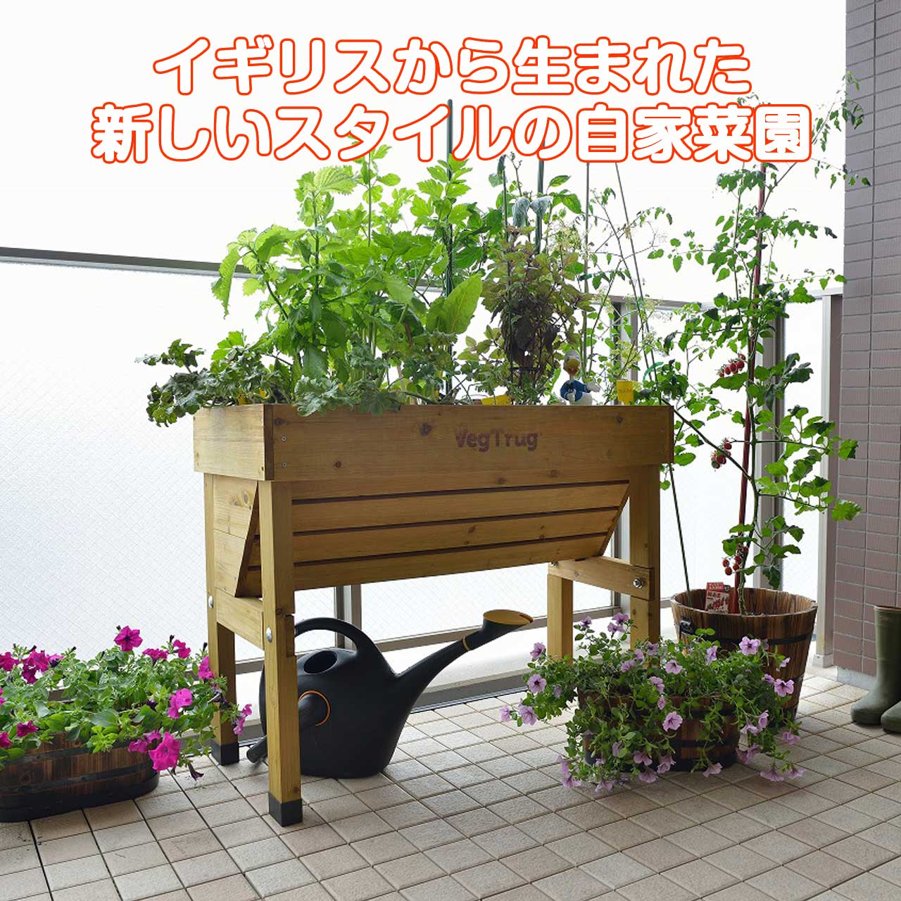 本日p2倍 ホームベジトラグ ウォールハガー S ナチュラル タカショー 植木鉢 鉢 おしゃれ 家庭菜園 大型 スタンド 野菜 丸 ラック オシャレ カバー 腐葉土 雑草 屋外 バスケット 置くだけ 室内 プランター菜園 花 英語 土 サイズ 木製 Cgco Org