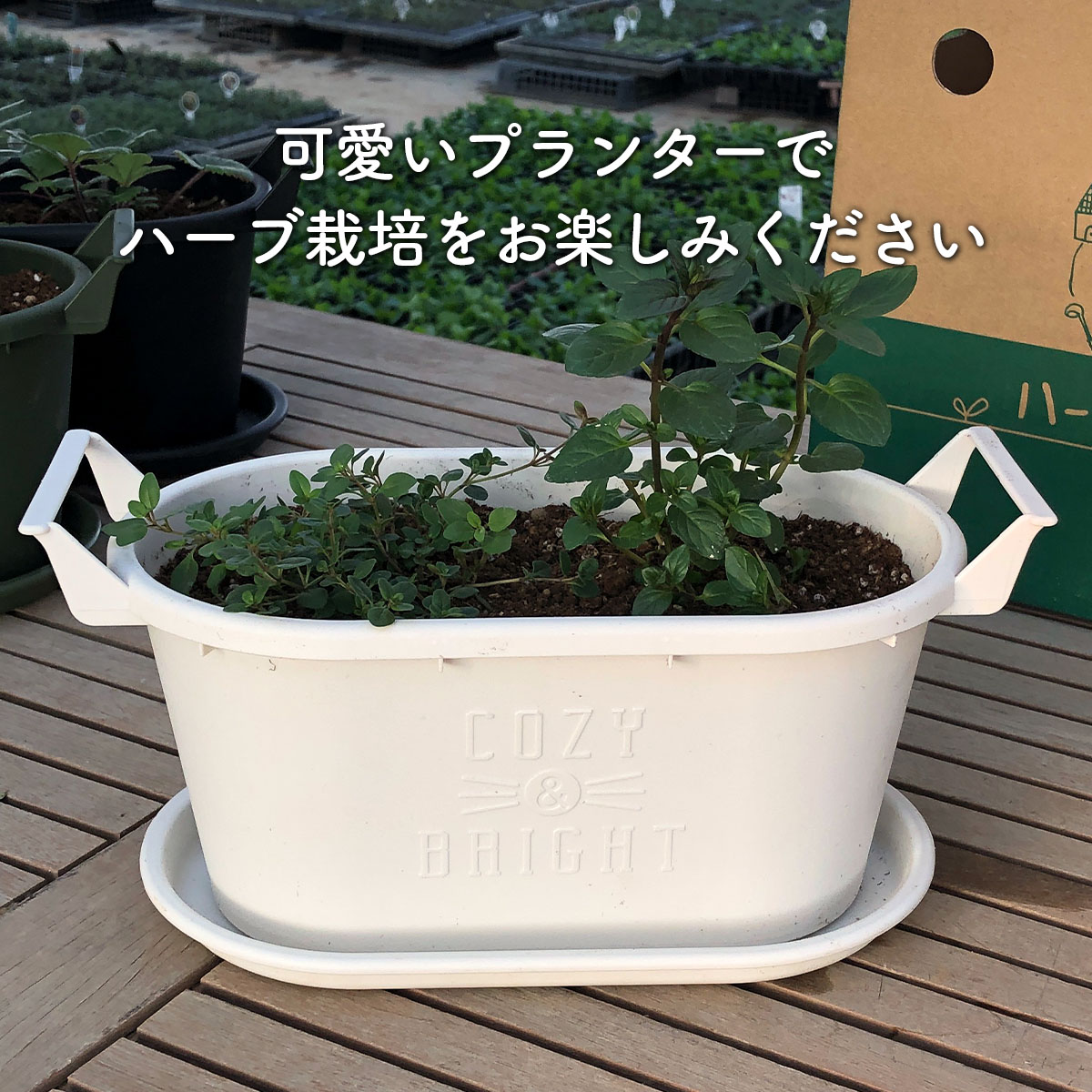 【楽天市場】プランターのみ 植木鉢 鉢 おしゃれ（苗なし グロウコンテナ18 オーバル 大型 スタンド 野菜 丸 ラック オシャレ カバー