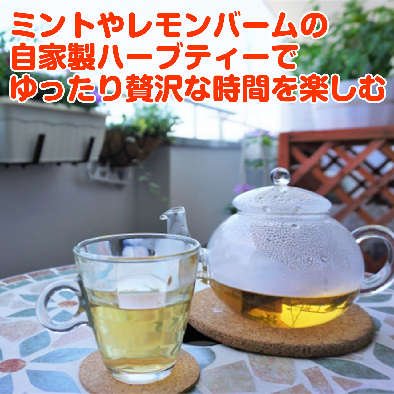 本日p2倍 ハーブ 寄せ植え La Jardin 茶 苗 2個 育てる 使う テーマ で選ぶ ハーブの寄せ植え 苗 セット 木製プランター かわいい 寄せ植え ハーブティー ハーブガーデン 観葉植物 送料無料 バジル ローズマリー ミント 花苗 苗木 家庭菜園 女子力 鉢植え 土 Herb