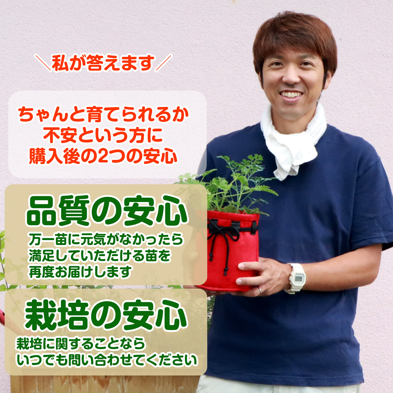 楽天市場 ハーブ専用 培養土 16l 16リットル 肥料付 土壌改良 腐葉土 園芸 園芸用品 土 野菜 砂 おしゃれ 大型 多肉植物 砂利 花壇 赤玉土 オリジナル 鉢底石 観葉植物 有機 成分 種類 培養土 16l 肥料付 ハーブ苗のポタジェガーデン