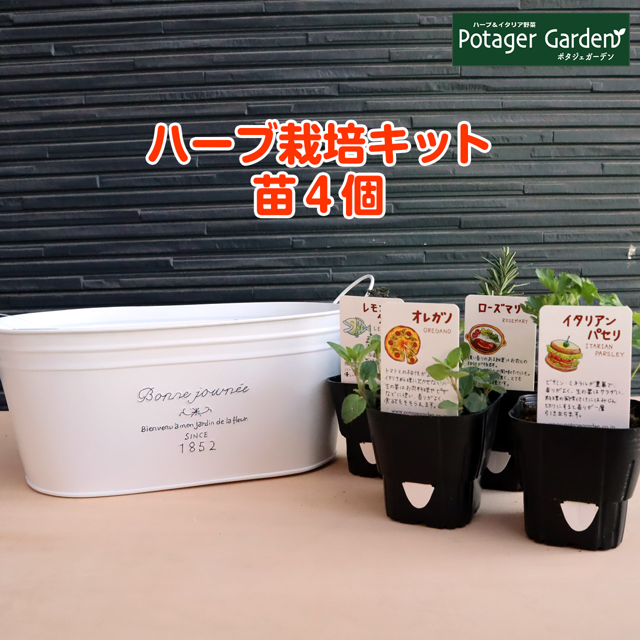 ハーブ 栽培キット 苗4個 かわいい 苗 ハーブティー 観葉植物 ハーブガーデン 寄せ植え フレンチブリキ セット ブリキプランター