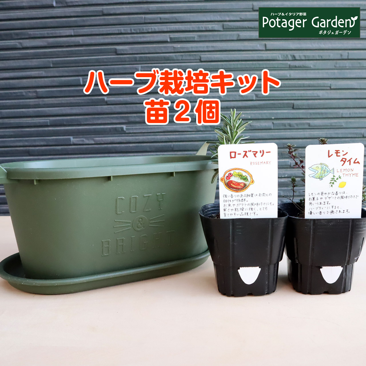 楽天市場 ハーブ 栽培キット ルーツポーチ 茶 苗3個 苗 セット フェルトプランター かわいい 寄せ植え ハーブティー ハーブガーデン 観葉植物 送料無料 バジル ローズマリー ミント 花苗 苗木 家庭菜園 女子力 鉢植え 土 Herb ハーブ苗のポタジェガーデン