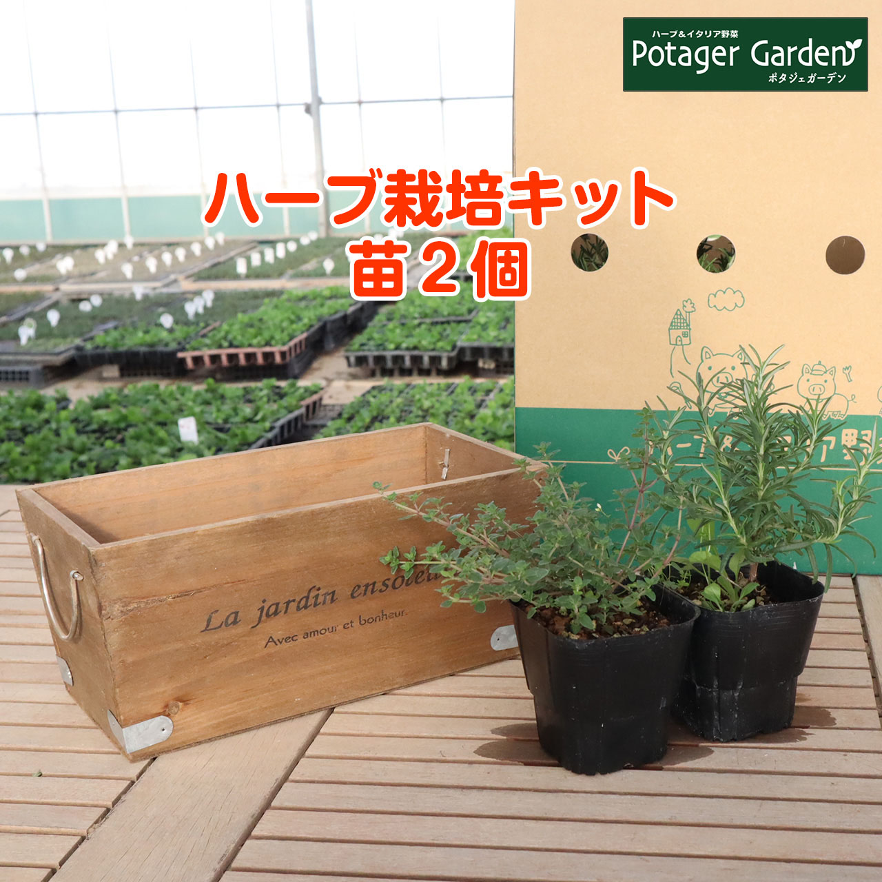 楽天市場 本日p5倍 ハーブ 栽培キット La Jardin 茶 苗2個 苗 セット 木製プランター かわいい 寄せ植え ハーブティー ハーブガーデン 観葉植物 送料無料 バジル ローズマリー ミント 花苗 苗木 家庭菜園 女子力 鉢植え 土 Herb ハーブ苗のポタジェガーデン