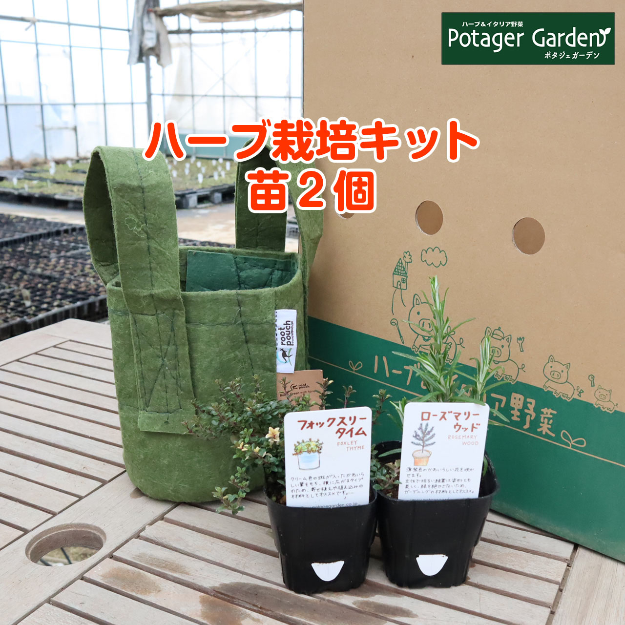 本日p2倍 ハーブ 栽培キット ルーツポーチ 緑 苗2個 苗 セット フェルトプランター かわいい 寄せ植え ハーブティー ハーブガーデン 観葉植物 送料無料 バジル ローズマリー ミント 花苗 苗木 家庭菜園 女子力 鉢植え 土 Herb Educaps Com Br