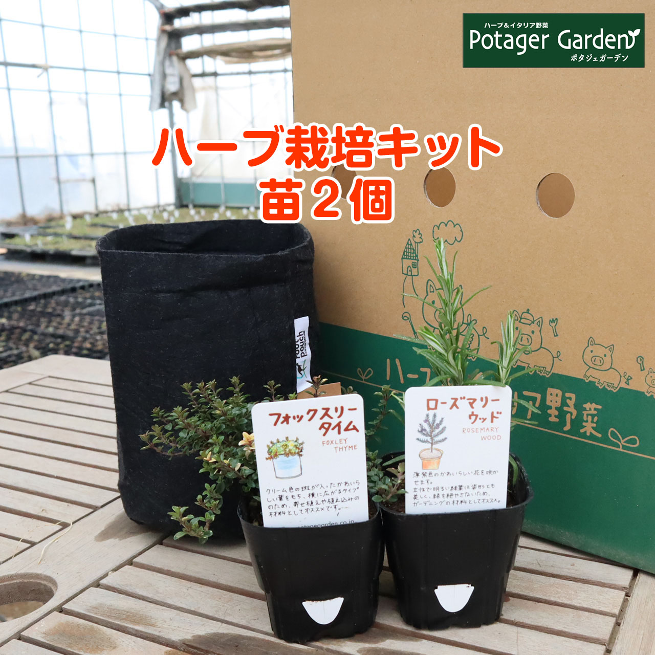 楽天市場 ハーブ 栽培キット ルーツポーチ 黒 苗3個 苗 セット フェルトプランター かわいい 寄せ植え ハーブティー ハーブガーデン 観葉植物 送料無料 バジル ローズマリー ミント 花苗 苗木 家庭菜園 女子力 鉢植え 土 Herb ハーブ苗のポタジェガーデン