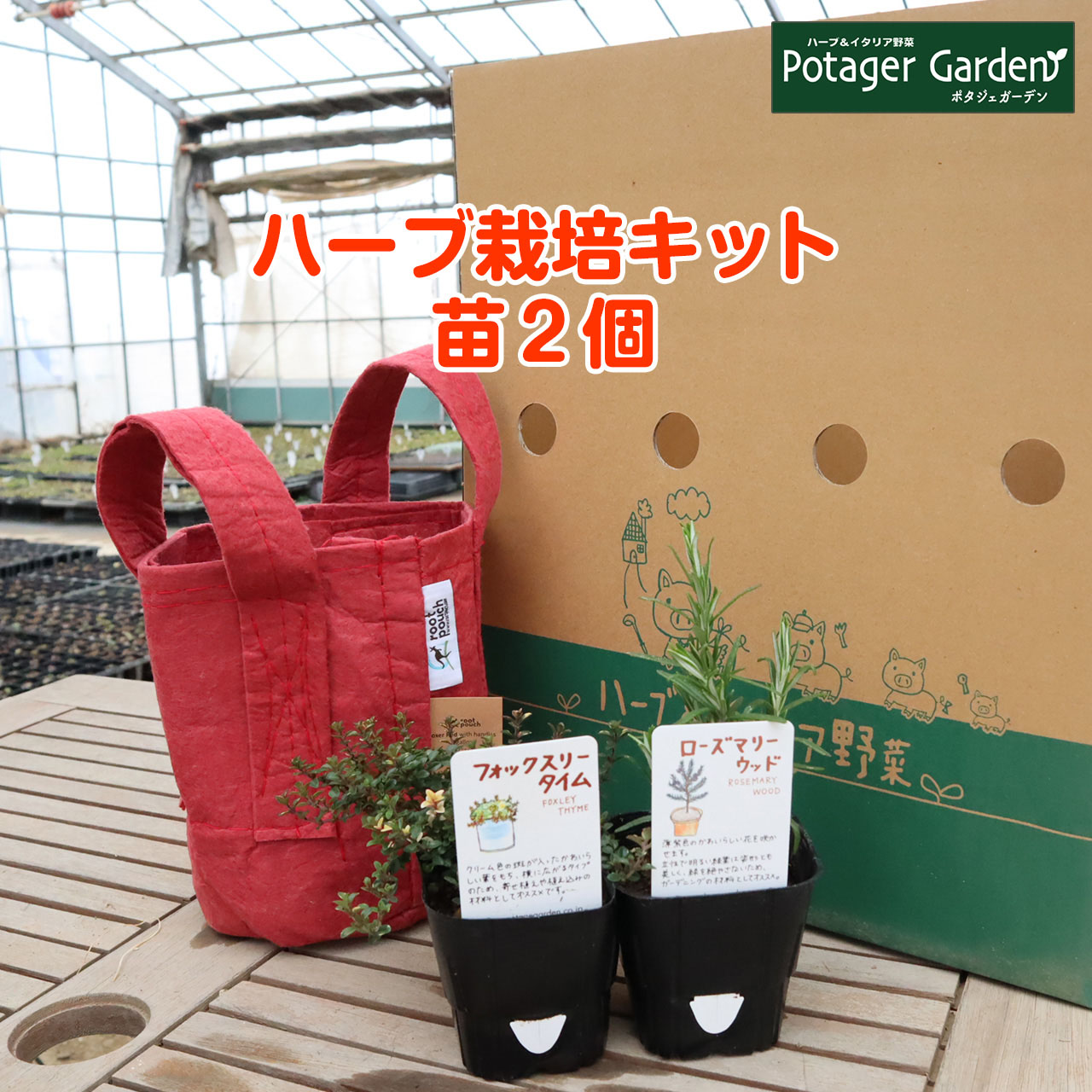ハーブ 栽培キット ルーツポーチ 赤 苗2個 苗 セット フェルトプランター かわいい 寄せ植え ハーブティー ハーブガーデン 観葉植物 送料無料 バジル ローズマリー ミント 花苗 苗木 家庭菜園 女子力 鉢植え 土 Herb Novix Com
