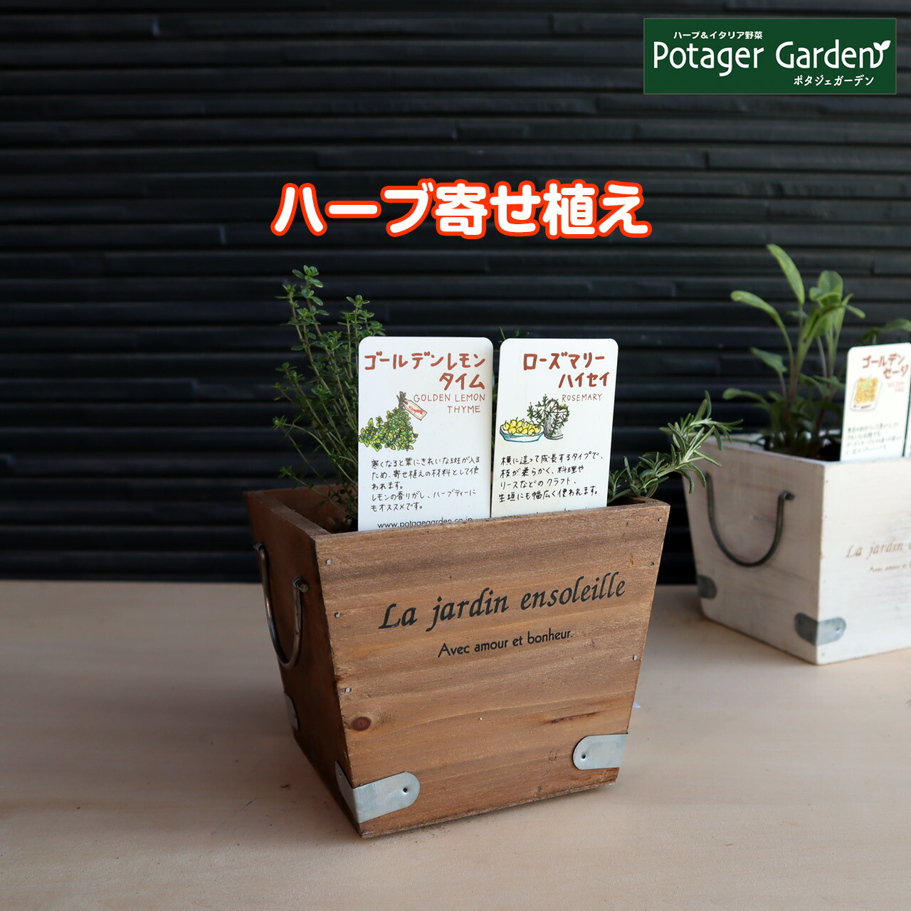 本日p2倍 ハーブ 寄せ植え La Jardin 茶 苗 2個 育てる 使う テーマ で選ぶ ハーブの寄せ植え 苗 セット 木製プランター かわいい 寄せ植え ハーブティー ハーブガーデン 観葉植物 送料無料 バジル ローズマリー ミント 花苗 苗木 家庭菜園 女子力 鉢植え 土 Herb