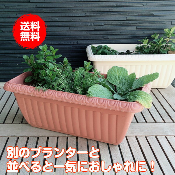 楽天市場 プランター 植木鉢 鉢 おしゃれ プラスチック 長方形 大型 スタンド 野菜 ラック オシャレ カバー 腐葉土 雑草 屋外 バスケット 置くだけ 室内 プランター菜園 花 英語 土 サイズ レリーフプランター 茶 受皿付 ハーブ苗のポタジェガーデン 楽天市場 プランター 植木鉢 鉢 おしゃれ プラスチック 長方形 大型 スタンド 野菜 ラック オシャレ カバー 腐葉土 雑草 屋外 バスケット 置くだけ 室内 プランター菜園 花 英語 土 サイズ レリーフプランター 茶 受皿付 ハーブ苗のポタジェガーデン