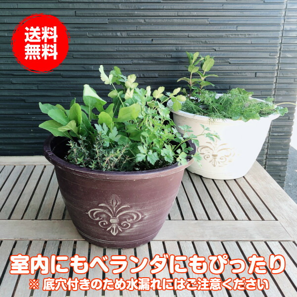 楽天市場 本日p2倍 プランター 植木鉢 鉢 おしゃれ プラスチック 丸 大型 スタンド 野菜 ラック オシャレ カバー 腐葉土 雑草 屋外 バスケット 置くだけ 室内 プランター菜園 花 英語 長方形 土 サイズ アンティークライトプラワンポイント 茶 ハーブ苗のポタジェ