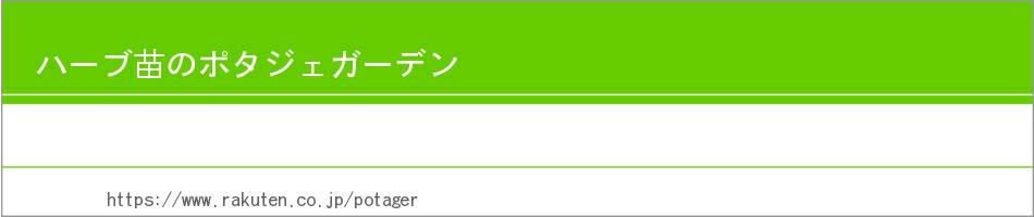 楽天市場 本日p2倍 ハーブ 苗 セット スペアミント 15個 送料無料 ハーブティー ハッカ油 虫除け グリーン 鉢植え 栽培方法 育て方 使い方 選び方 種類 花苗 簡単 プランター 栽培キット ミントグリーン ラベンダー バジル 寄せ植え 野菜 種 春 夏 秋 冬 スペア15個 楽天市場 本日p2倍 ハーブ 苗 セット スペアミント 15個 送料無料 ハーブティー ハッカ油 虫除け グリーン 鉢植え 栽培方法 育て方 使い方 選び方 種類 花苗 簡単 プランター 栽培キット ミントグリーン ラベンダー バジル 寄せ植え 野菜 種 春 夏 秋 冬 スペア15個