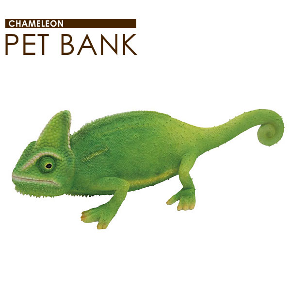 楽天市場】カメレオン 置物 リアル ペットバンク Pet Bank カメレオン