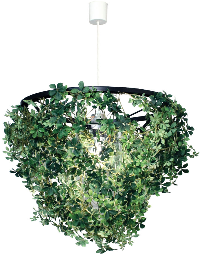 楽天市場】日々の暮らしをちょっとずつ癒してくれる【DI CLASSE(ディ