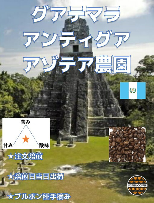 楽天市場】グアテマラ アンティグア アゾテア農園 ５００ｇブルボン種 世界遺産 コーヒー豆 焙煎コーヒー豆 珈琲豆 生豆 焙煎豆 豆 ストレート  コーヒー 自家焙煎 珈琲 焙煎 煎りたて 新鮮 中細挽き お取り寄せ 美味しい選べる焙煎度合 浅煎り 中煎り 深煎り : ポティエ ...