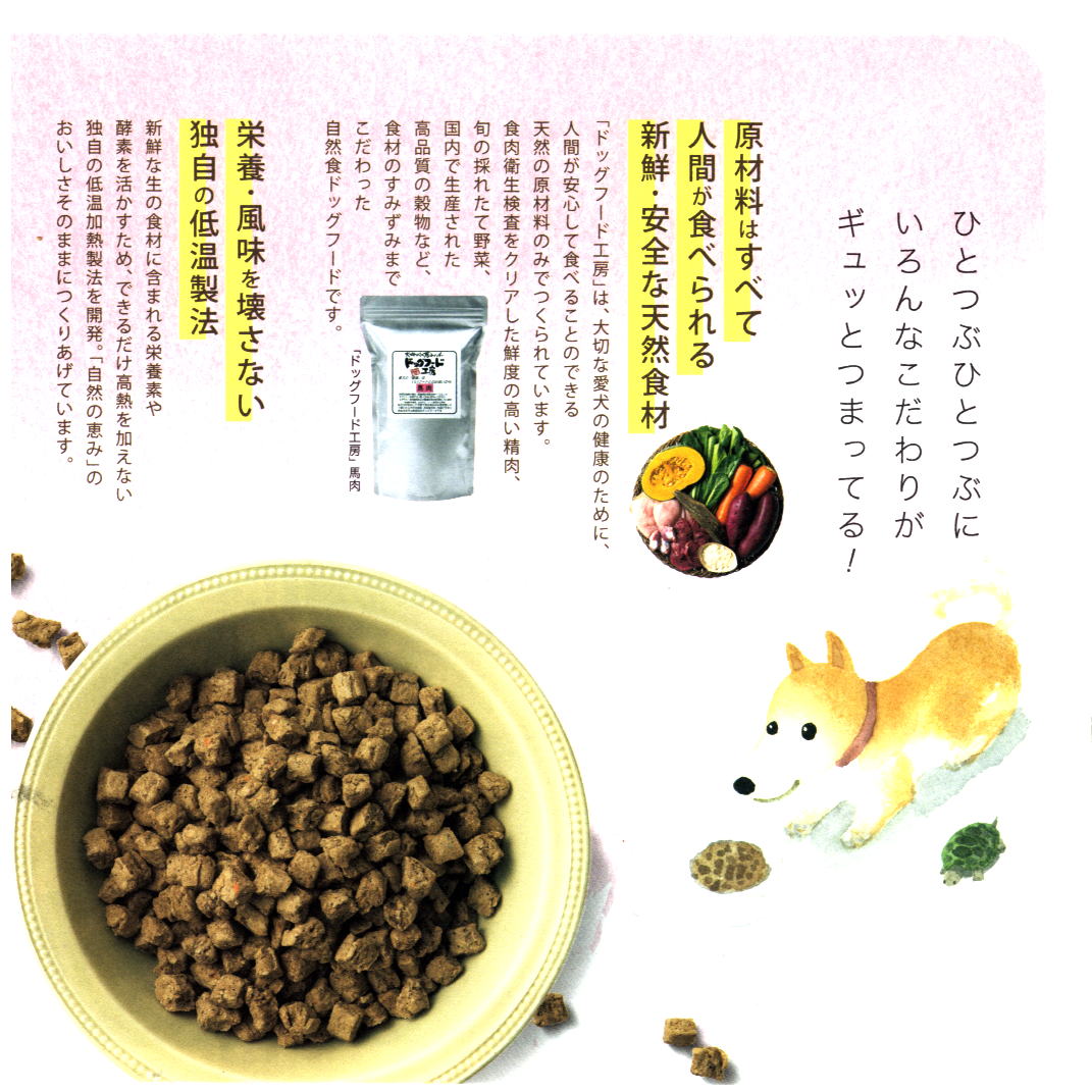 ネイビーシー 国産 無添加馬肉ドッグフード 750ｇ2個パック小粒 いなば ワンちゅーる 通販