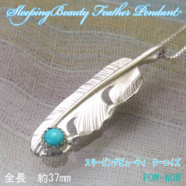 Silver Wind Pow-Wow
