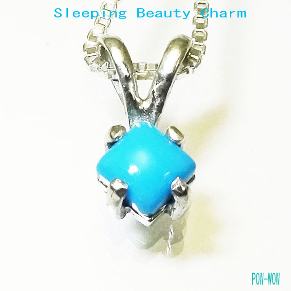 楽天市場】スリーピングビューティ チャーム ターコイズ 925 シルバー