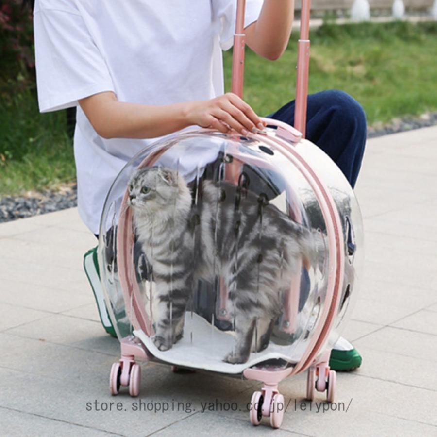 おでかけ愛玩動物 キャリーバッグ キャスター付き添い人 澄み切った 愛玩動物手押し車 猫 犬 御徒面子 手押し車 今めかしい 大電気容量 愛玩動物御徒面子 持ちはこび 持ちはこび手押し車 持ちはこぶ分かりやすい父の日