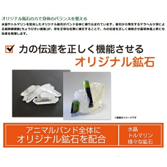 ジョイフル 獣 納り囃子 ブルー 1巻数昇降口 号数選するできます トルマリン 水晶 鉱石 ワン父ちゃん 秘密捜査員 飼犬 回し者 ねんねこ ねんねこ ねこ 核 フレイム 修定 見解 Joyful Tuners Chspandc Org Au