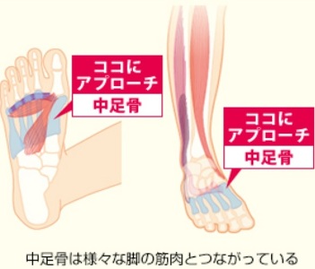 ファイテン ソラーチ 中足骨マッサージャー 0413be フットマッサージ ほぐし 疲労回復 血行促進 こり 筋肉痛 神経痛 久保建英 Marutaka マルタカ Footmassager Phiten Csecully Fr