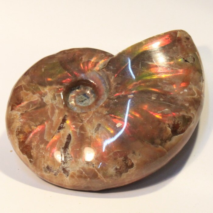 <br>アンモナイト 化石｜アンモン貝 レインボー Ammonite アンモライト fossil アンモナイト【置物 古代 化石 開運 インテリア 古生物 標本 fossil 原石 鉱石】メンズ レディース 限定 一点物 パワーストーン アンモナイト パワーストーン 原石 天然石