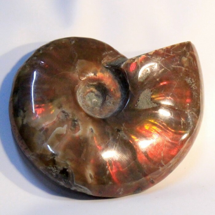 <br>アンモナイト 化石｜Ammonite アンモライト菊石 fossil レインボー アンモン貝  アンモナイト 置物 鉱石 原石 生きた化石 fossil 石 Stone 古生物 標本｜メンズ レディース 限定 一点物 パワーストーン アンモナイト