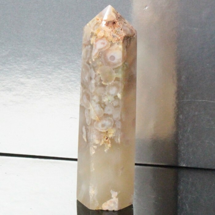 楽天市場】☆貴重－アンモナイト縫合線オパール化石標本&原石鉱物標本