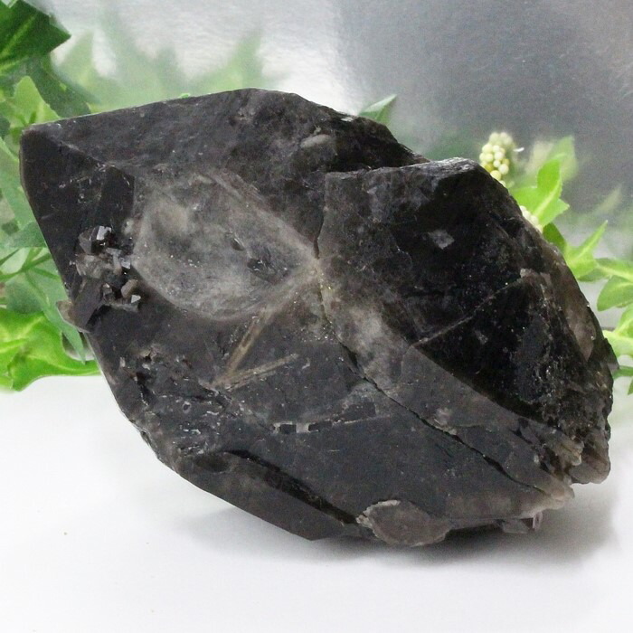 楽天市場】【ビックサイズ 大きい サイズ】モリオン ポイント｜Morion