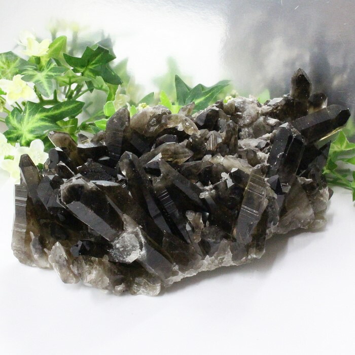 楽天市場】【ビックサイズ 大きい サイズ】モリオン クラスター