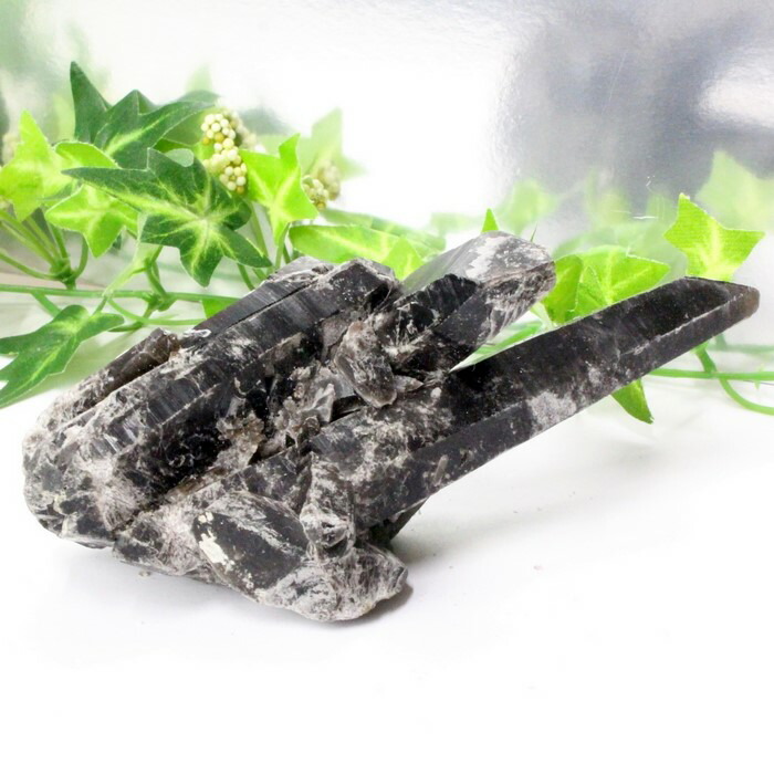 楽天市場】【ビックサイズ 大きい サイズ】モリオン クラスター