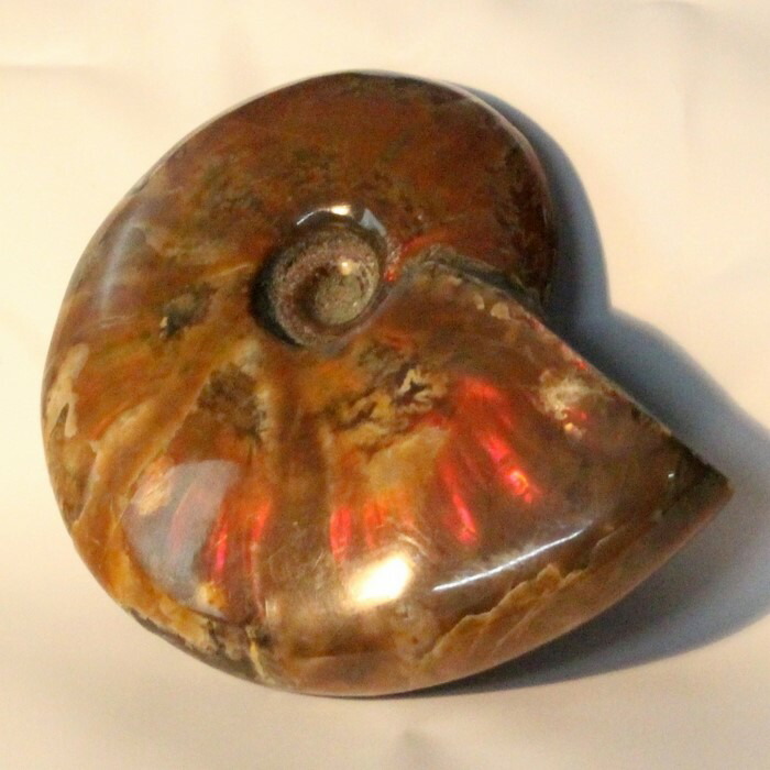 <br>【マダガスカル産最高品質】アンモナイト 化石 虹 Ammonite アンモライト レインボー アンモナイト 原石 置物 鉱石 宝石 fossil 石 Stone 古生物 標本 アンモナイト化石 天然石 化石 パワーストーン 限定 一点物 アンモナイト
