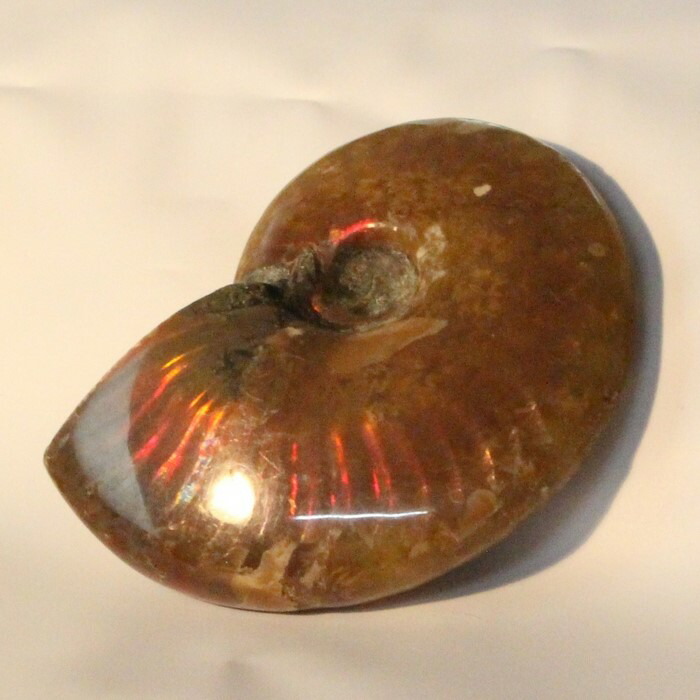 <br>【一級品の輝き】アンモナイト 化石 虹 レインボー Ammonite アンモライト アンモナイト 原石 古生物 置物 鉱石 宝石 fossil 石 Stone 標本 アンモナイト化石 パワーストーン 化石 天然石 メンズ レディース 人気 アンモナイト