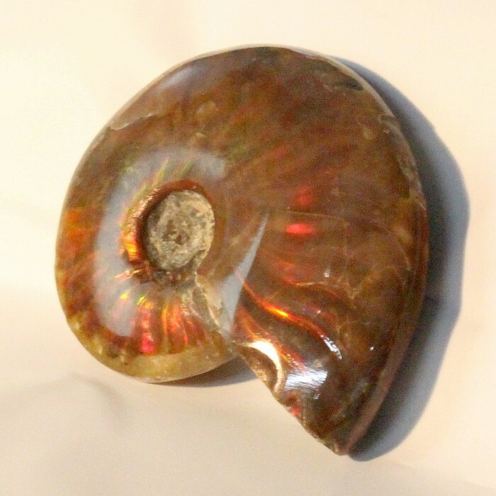 <br>【マダガスカル産最高品質】アンモナイト 化石 虹 アンモナイト Ammonite レインボー アンモライト 原石 古生物 置物 鉱石 宝石 fossil 石 Stone 標本 アンモナイト化石 天然石 化石 パワーストーン 限定 一点物 アンモナイト