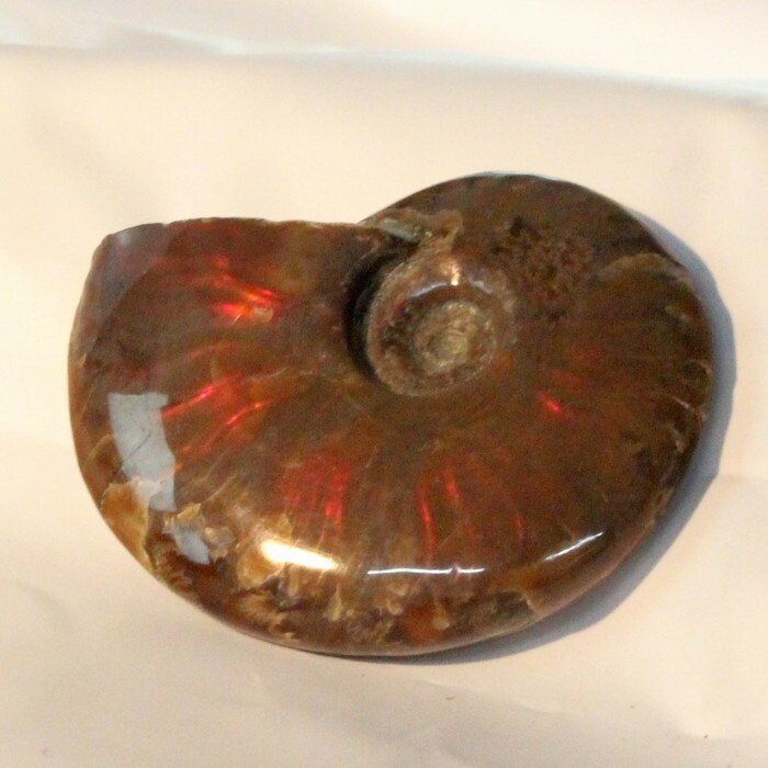 <br>【マダガスカル産一級品】アンモナイト 化石 虹 アンモナイト Ammonite レインボー アンモライト 宝石 原石 置物 鉱石 生きた化石 fossil 石 古生物 標本 アンモナイト化石 メンズ レディース 人気 おすすめ 限定 天然石  アンモナイト