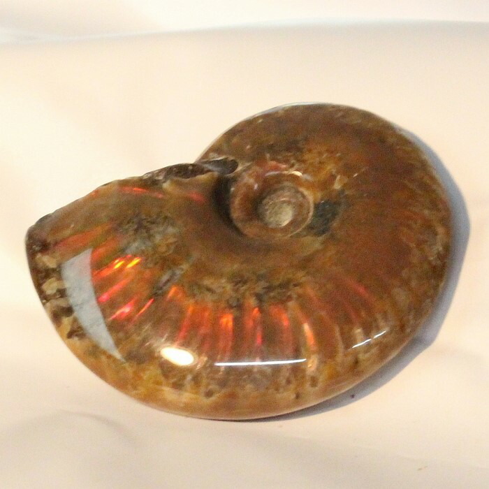 <br>【マダガスカル産最高発色 虹】アンモナイト 化石 虹 レインボー Ammonite アンモライト アンモナイト 宝石 原石 置物 鉱石 古生物 標本 生きた化石 fossil 石 アンモナイト化石 天然石 原石 人気 おすすめ パワーストーン 一点物 アンモナイト