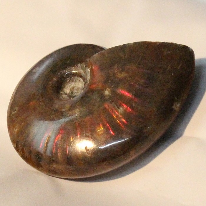 【厳選品質マダガスカル産】アンモナイト 化石 虹 Ammonite アンモライト レインボー アンモナイト 宝石 原石 置物 鉱石 生きた化石 fossil 石 古生物 標本 アンモナイト化石 天然石 原石 パワーストーン 限定 一点物 アンモナイト