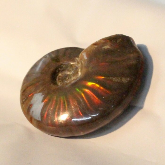 <br>【一級品の輝き】アンモナイト 化石 虹 Ammonite アンモライト レインボー アンモナイト 原石 置物 鉱石 宝石 fossil 石 Stone 古生物 標本 アンモナイト化石 パワーストーン 化石 天然石 メンズ レディース 人気 アンモナイト