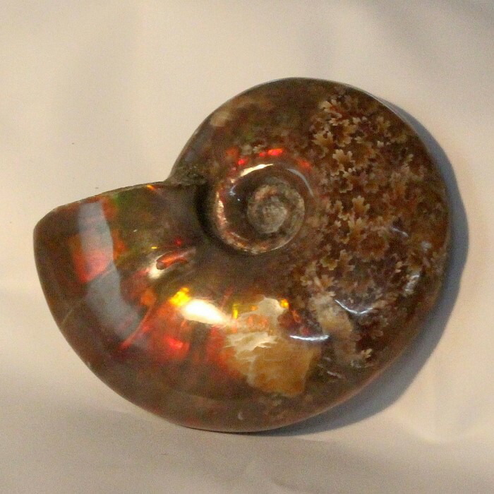 <br>【虹に輝く一級品】アンモナイト 化石 虹 レインボー Ammonite アンモライト アンモナイト 原石 古生物 置物 鉱石 宝石 fossil 石 Stone 標本 アンモナイト化石 パワーストーン 化石 天然石 メンズ レディース 人気 アンモナイト